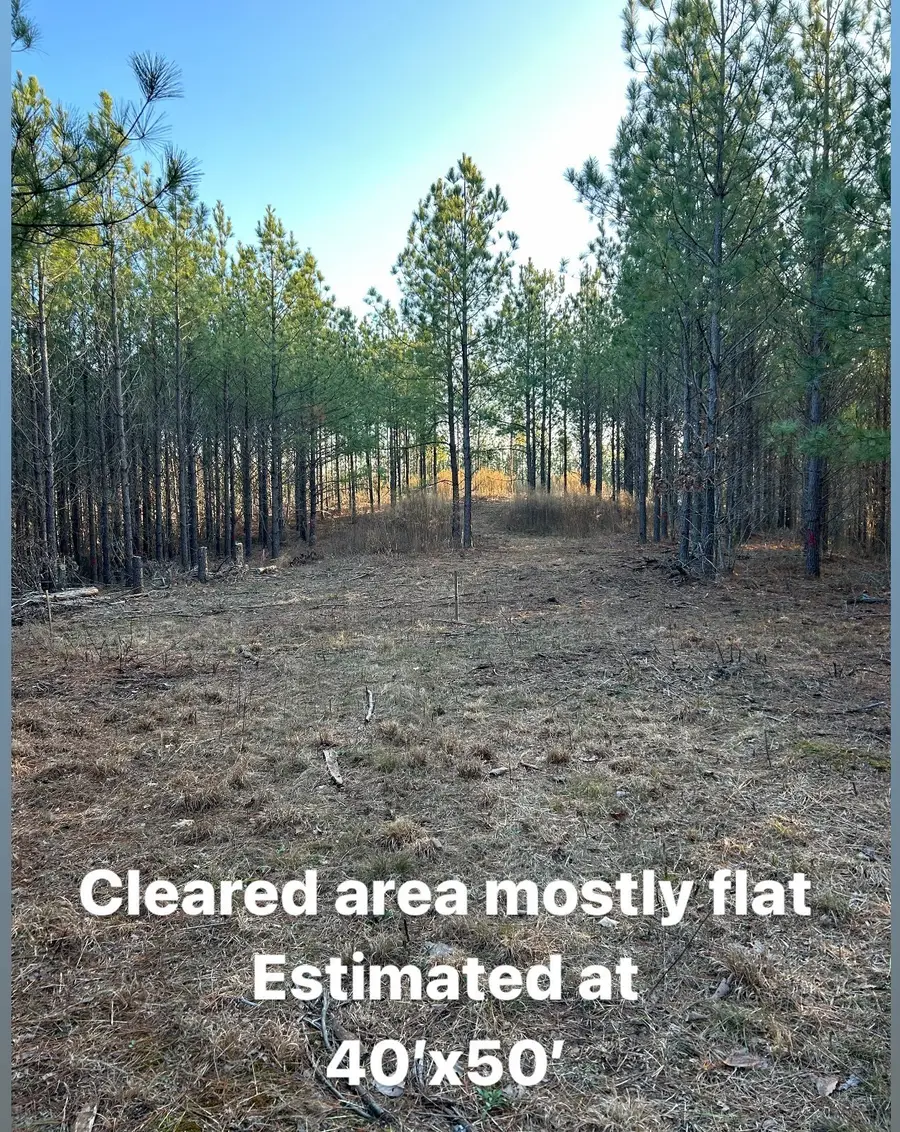 210 Ridgewood Dr, Linden, TN 37096 - Image #3