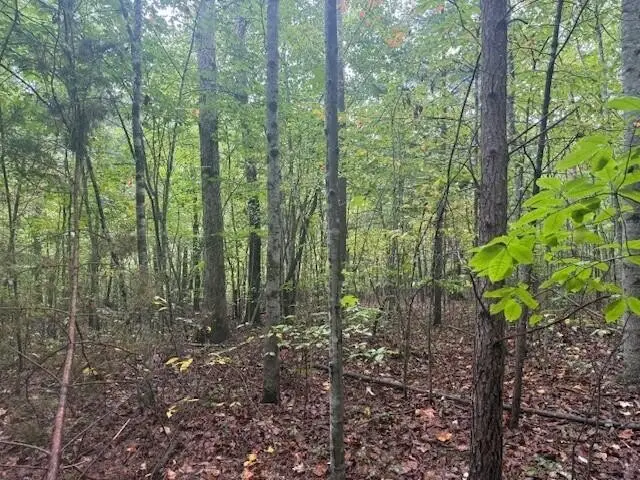 14 Saw Mill Road, Palmer, TN 37365 - Image #3