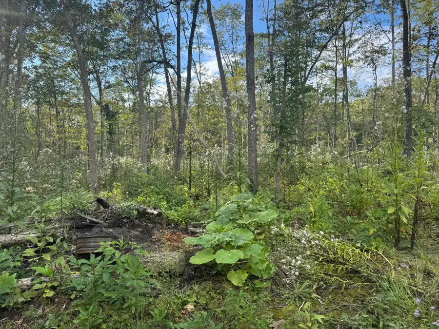 0 Valley View, Crossville, TN 38572 - Image #3