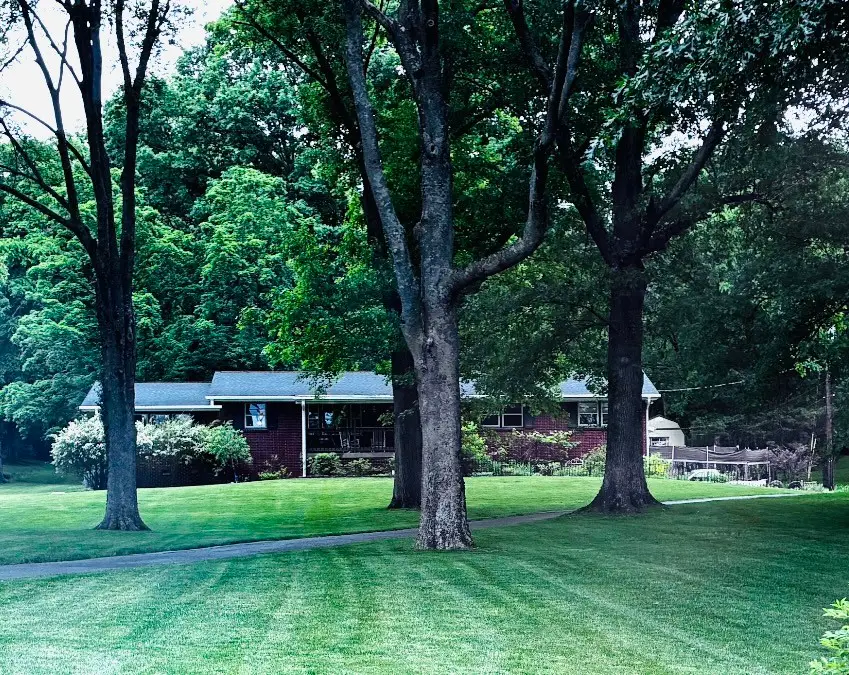 7964 Hooten Hows Rd, Nashville, TN 37221 - Image #2