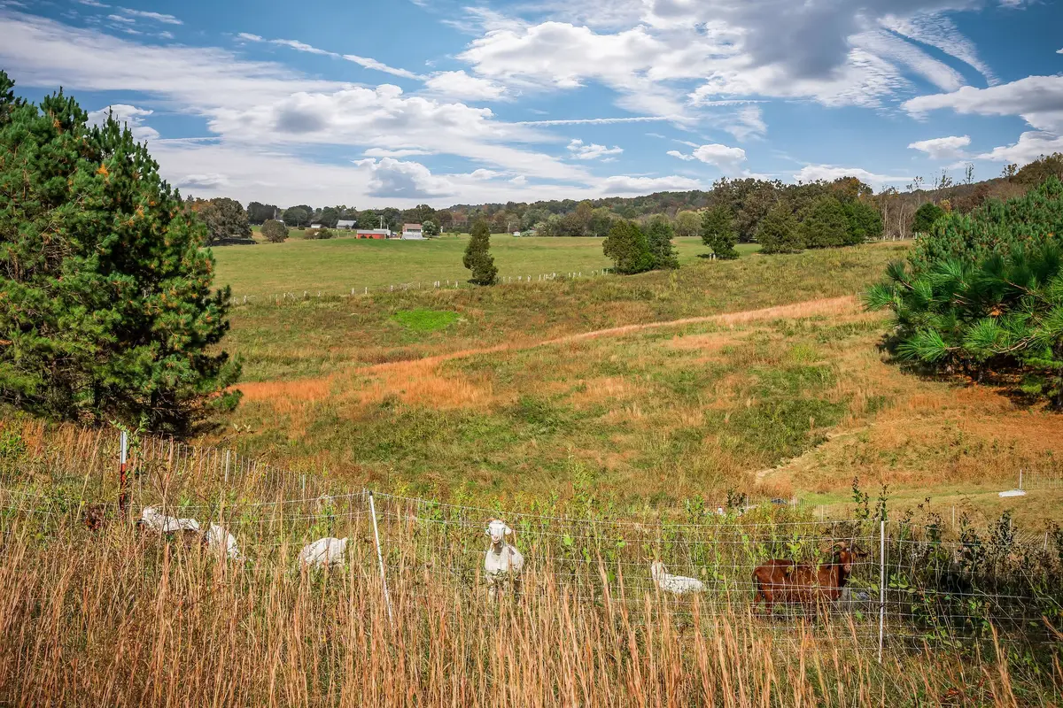 378 Bennett Rd, Sparta, TN 38583 - Image #1