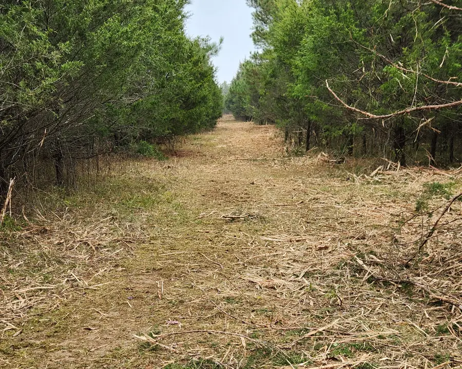 4230 Peytonsville Trinity Rd, Franklin, TN 37064 - Image #2