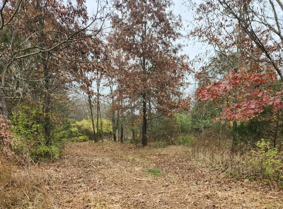 4230 Peytonsville Trinity Rd, Franklin, TN 37064 - Image #3