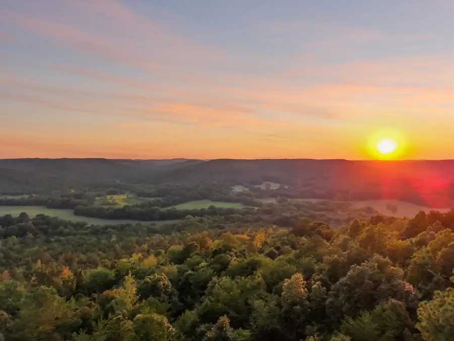 589 Hester Porter Rd, Tuscumbia, AL 35674 - #2