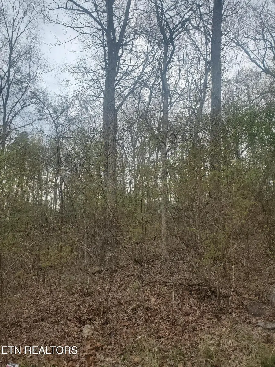 8646 Cherokee Tr, Crossville, TN 38572 - #3