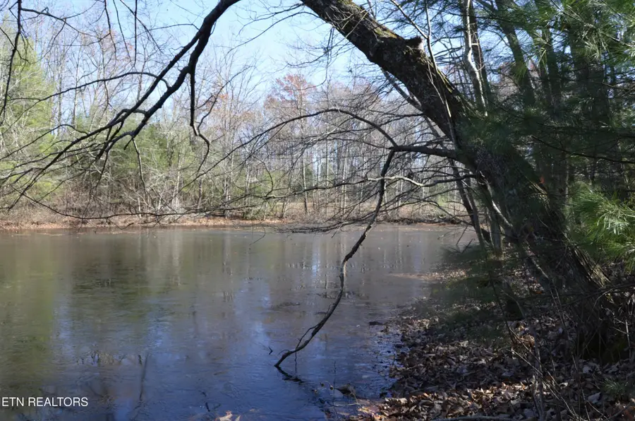 0 Sparta Hwy 63.3 Acres, Crossville, TN 38555 - Image #3