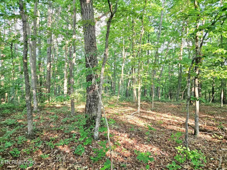 0 Street Place Loop, Monterey, TN 38574 - Image #2