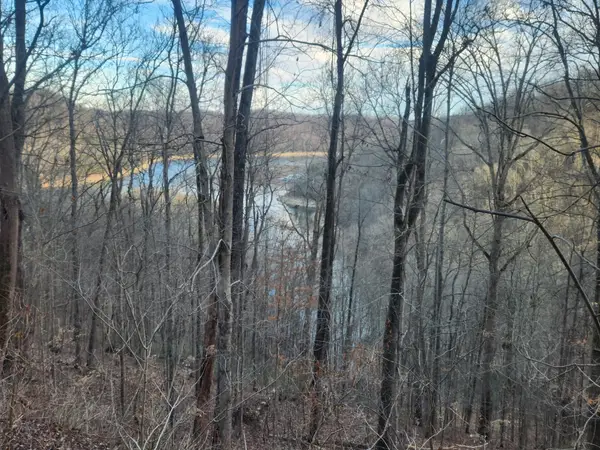 1 Antler Drive, Smithville, TN 37166