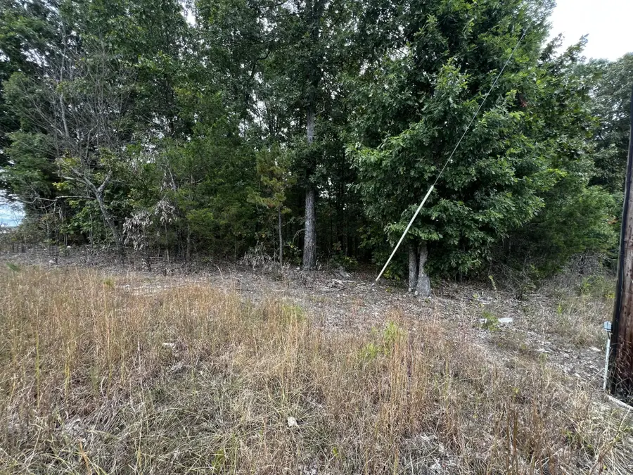 0 Bork Memorial Drive, Ooltewah, TN 37363 - Image #3