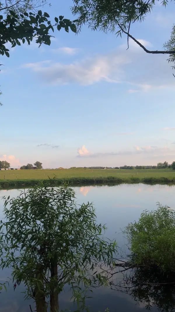 5670 Borthick Road, Springfield, TN 37172