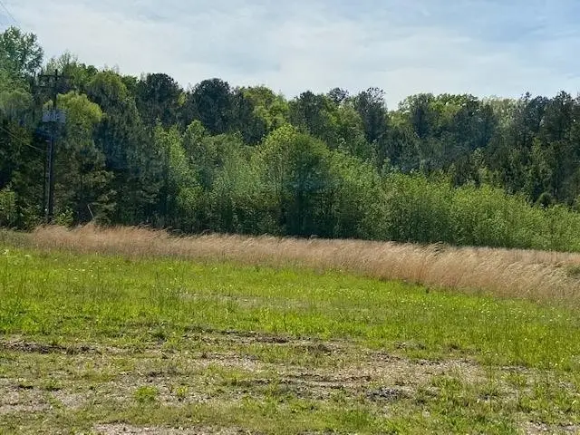 0 Mulberry Ave, Selmer, TN 38375 - Image #2