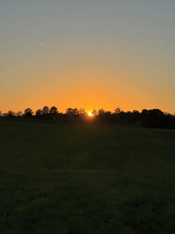 0 Woody Atkinson Road, Woodburn, KY 42170