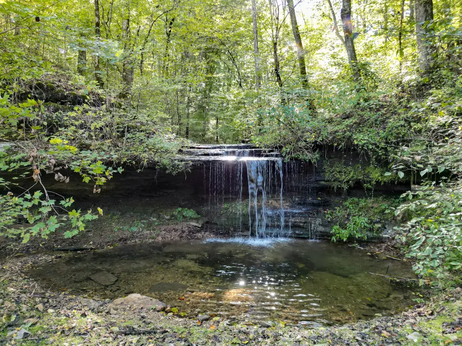 1495 Trace Creek Rd, Hohenwald, TN 38462 - Image #2