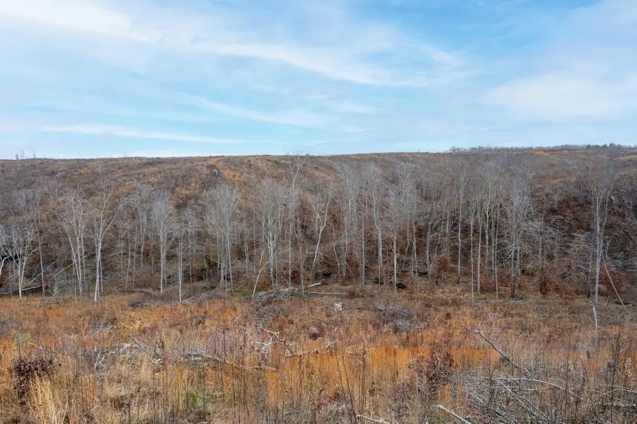 1455 Little Swan Creek Rd, Hohenwald, TN 38462 - Image #3