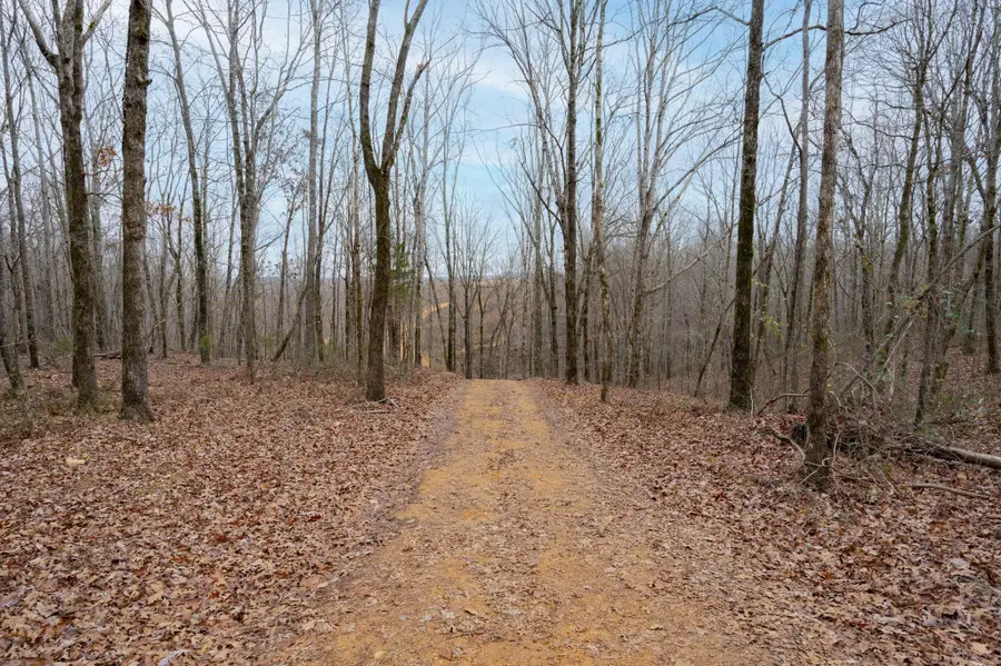 1379 Little Swan Creek Rd, Hohenwald, TN 38462 - Image #3