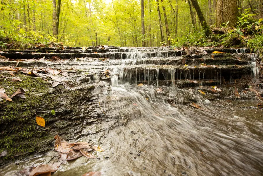 9062 Dry Creek Rd, Mount Pleasant, TN 38474 - Image #2