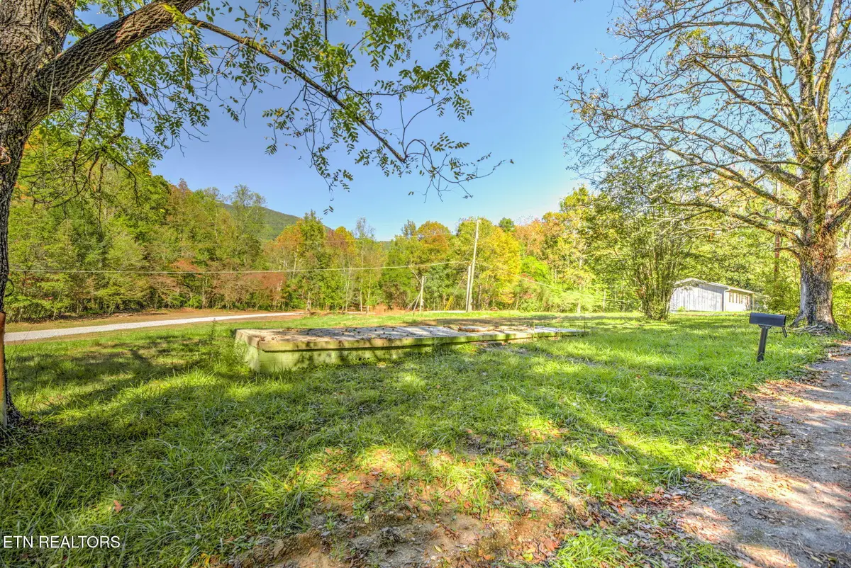 1446 Cove Lane, Oliver Springs, TN 37840 - #1