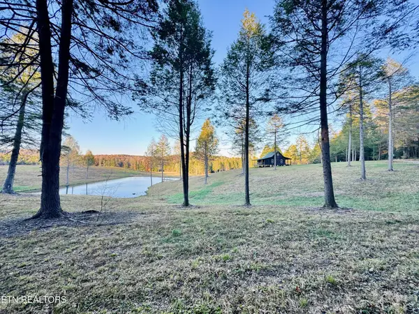 4832 Lovejoy Rd, Crawford, TN 38554