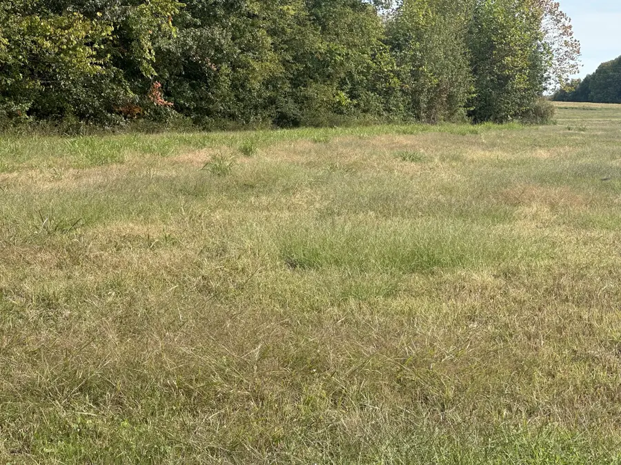 0 N Pitt Road, Springfield, TN 37172 - Image #2