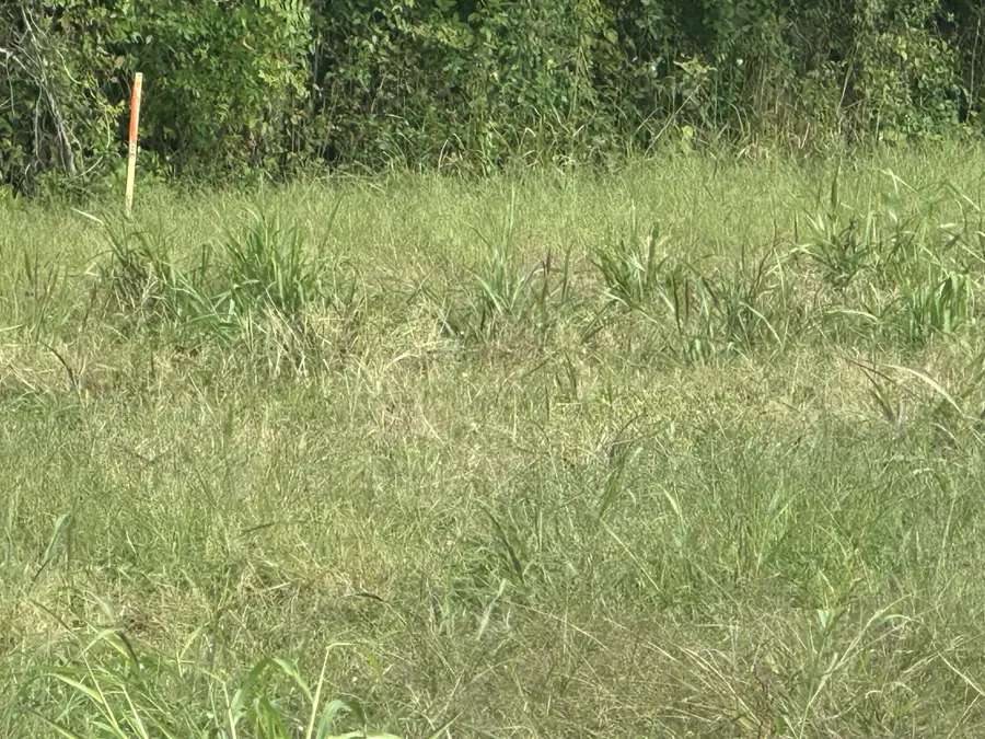 0 N Pitt Road, Springfield, TN 37172 - Image #3