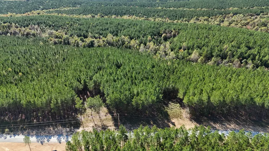 111 Hillbrook Dr, Hohenwald, TN 38462 - Image #3