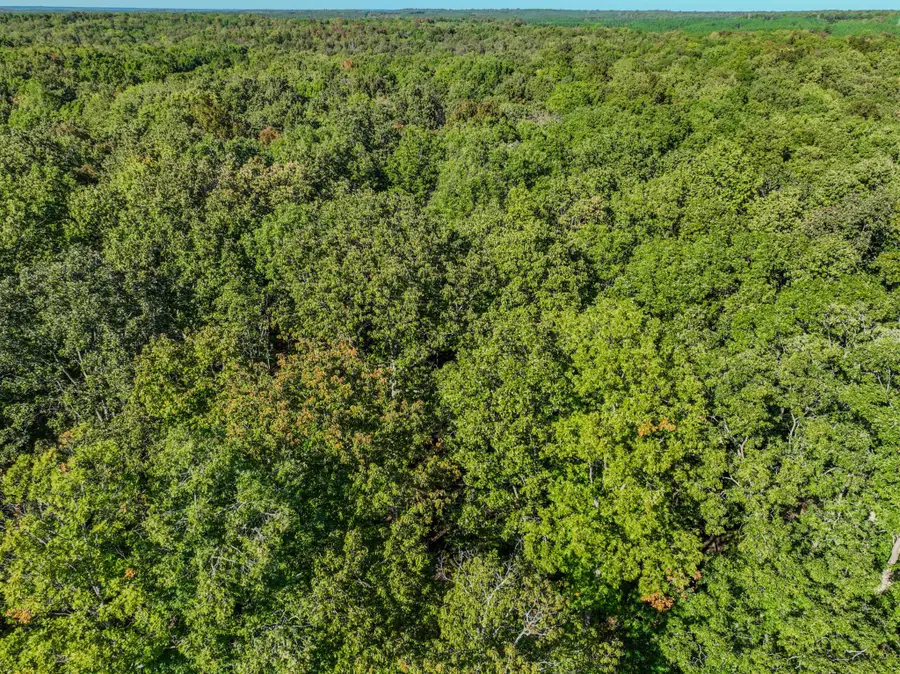 0 Lawrenceburg Hwy, Waynesboro, TN 38485 - Image #2