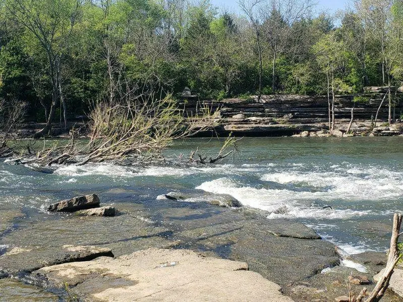 4340 Oswin Drive, Murfreesboro, TN 37129 - Image #2