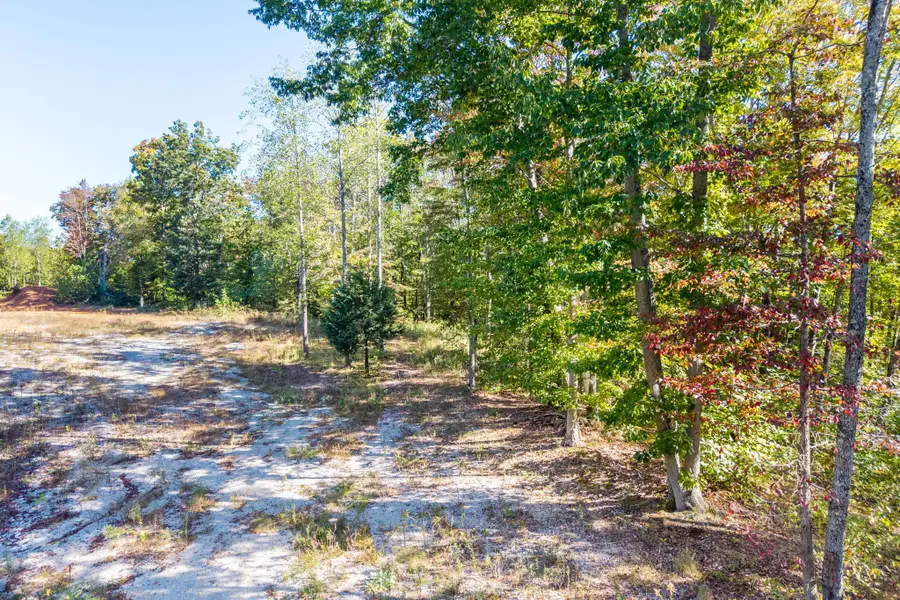 408 Massingille Lane, Allons, TN 38541 - Image #3