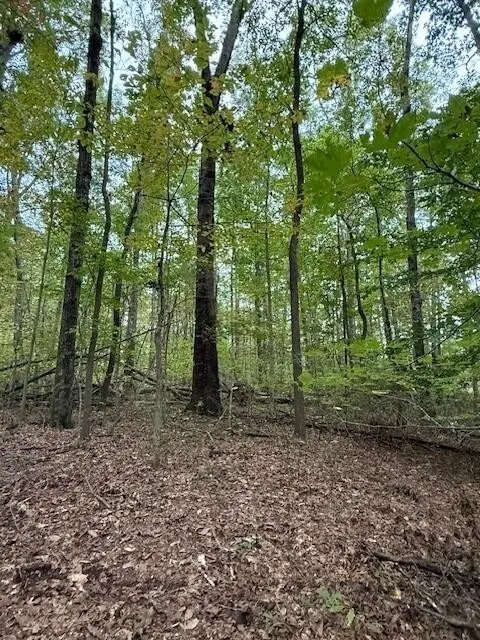 4 Tipple Road, Tracy City, TN 37387 - Image #3