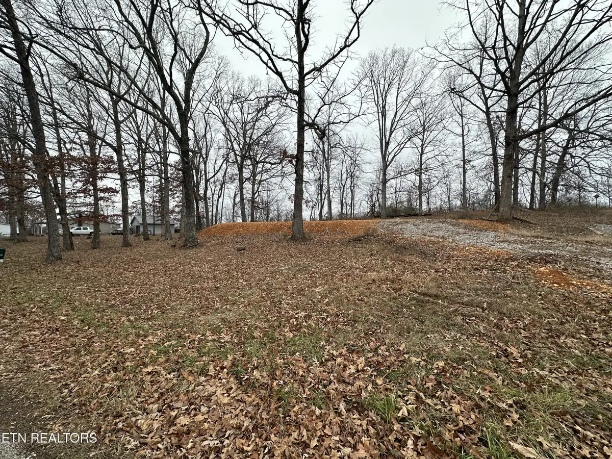 2100 Old Wolf River Rd, Jamestown, TN 38556 - #1