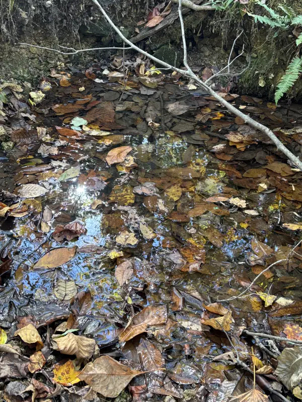 0 Columbia Hwy, Hohenwald, TN 38462