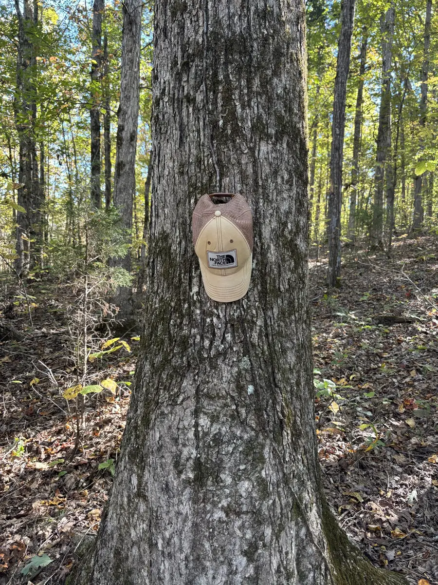 0 Columbia Hwy, Hohenwald, TN 38462 - Image #2