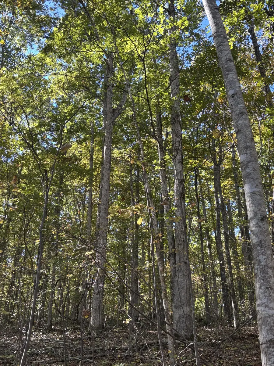 0 Columbia Hwy, Hohenwald, TN 38462 - Image #3