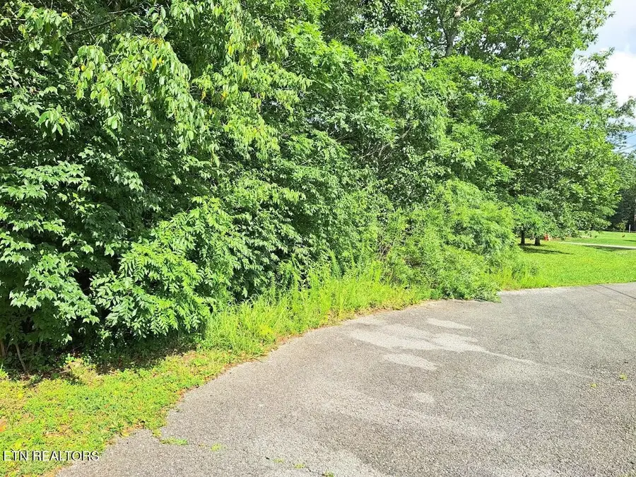 0 Bear Den - Lot 21, Crossville, TN 38571 - Image #3