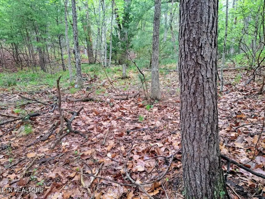 109 Laurelton Lane, Crossville, TN 38558 - Image #2