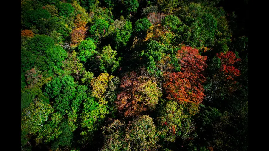 0 Highway 19e, Hampton, TN 37658 - Image #3