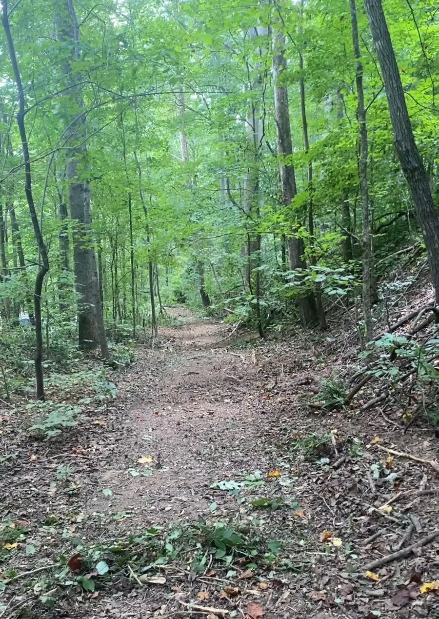 8552 Cub Creek Rd, Nashville, TN 37209 - Image #3