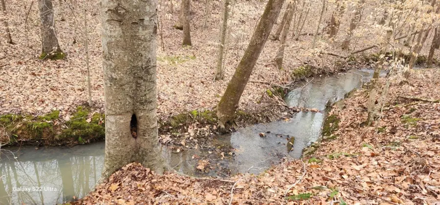 19 N Highway 411, Crandall, GA 30711 - Image #2