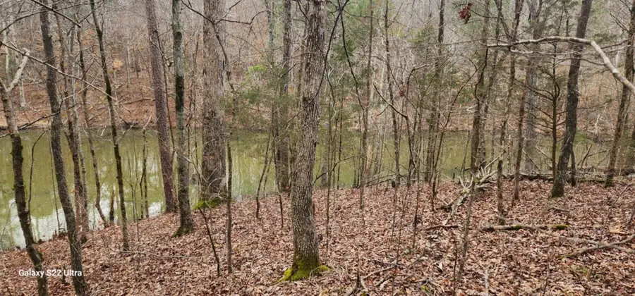 19 N Highway 411, Crandall, GA 30711 - Image #3