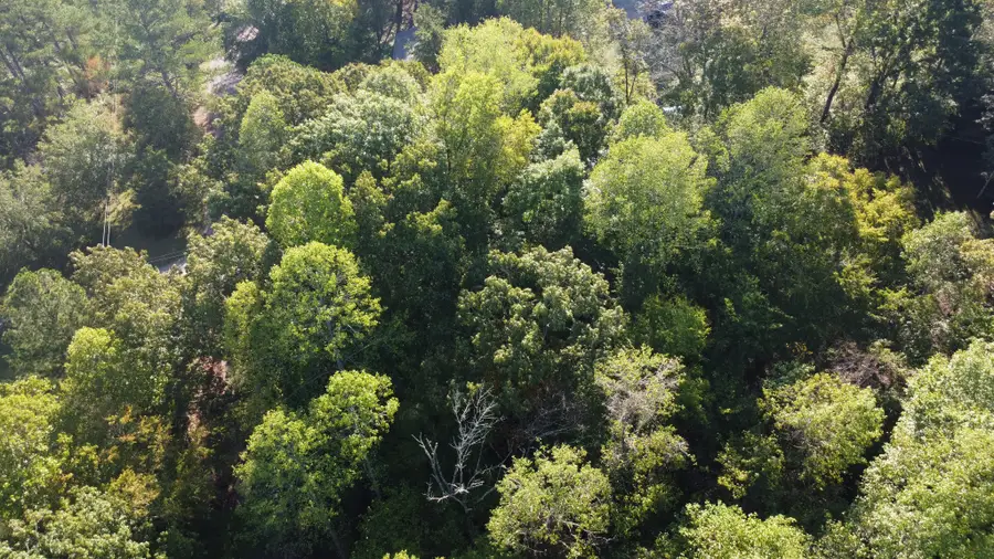 0 Hillrose Drive, Baxter, TN 38544 - Image #3