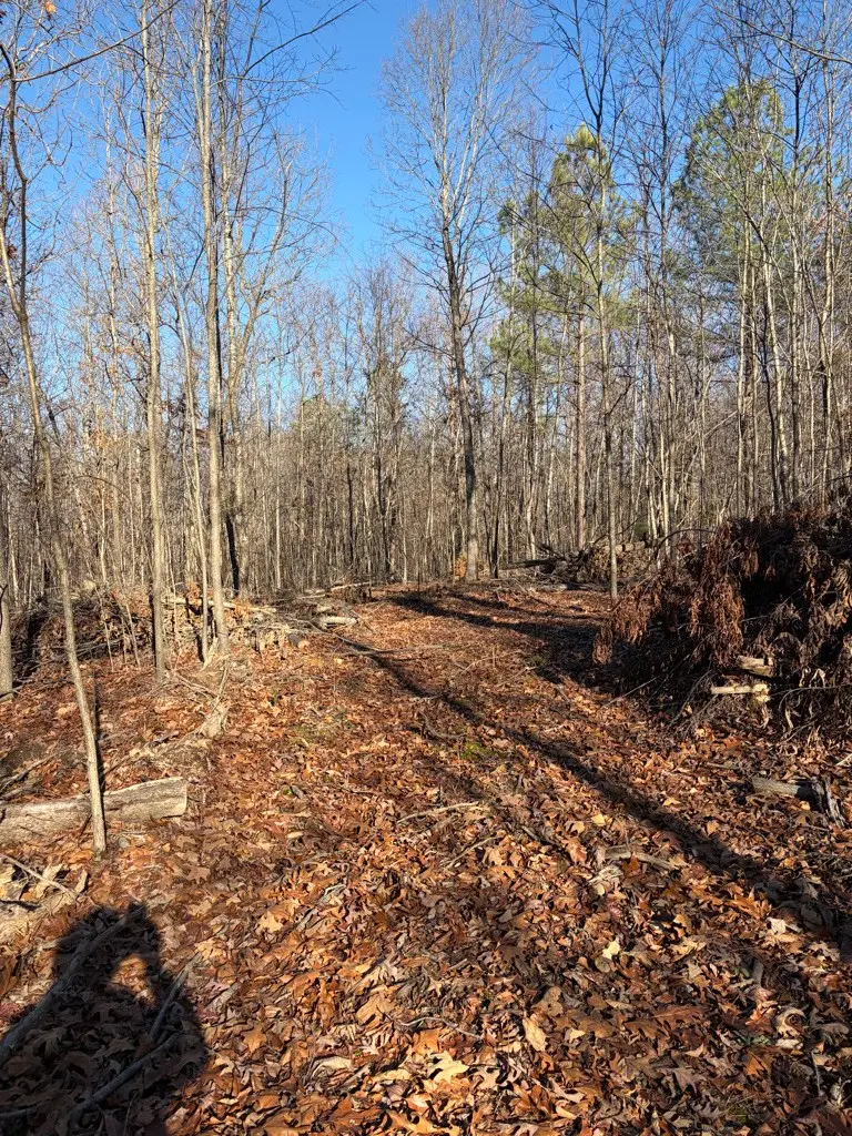 0 Hatley Rd, Lyles, TN 37098 - Image #2