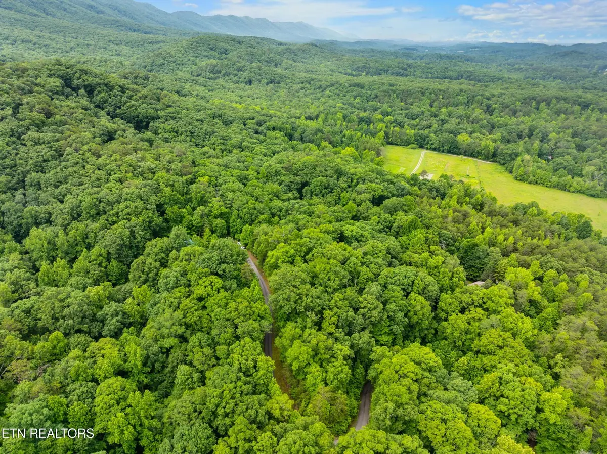 750 Blue Beech Drive, Maryville, TN 37803 - Image #1