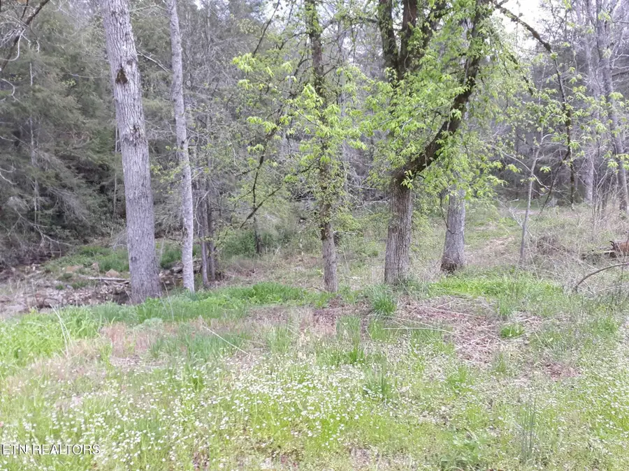 5054 Mount Helen Rd, Allardt, TN 38504 - Image #2