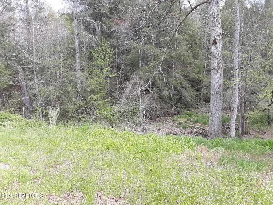 5054 Mount Helen Rd, Allardt, TN 38504 - Image #3