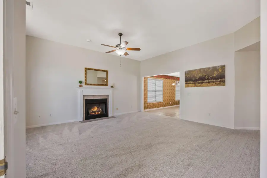 7163 Tyner Crossing Drive, Chattanooga, TN 37421 - Image #3