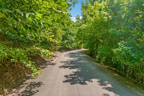 2 Shoreside Dr, Smithville, TN 37166