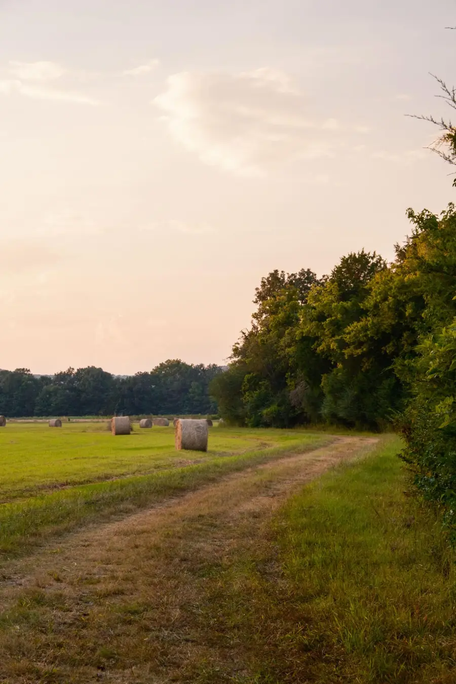 0 Gilliam Road, Gurley, AL 35748 - Image #2