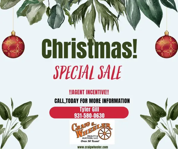 1101 Mcdonald St, Fayetteville, TN 37334