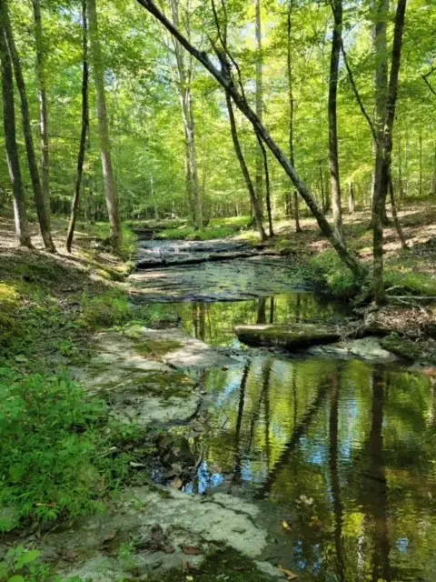 1075 Rose Hill Rd, Pulaski, TN 38478 - Image #1