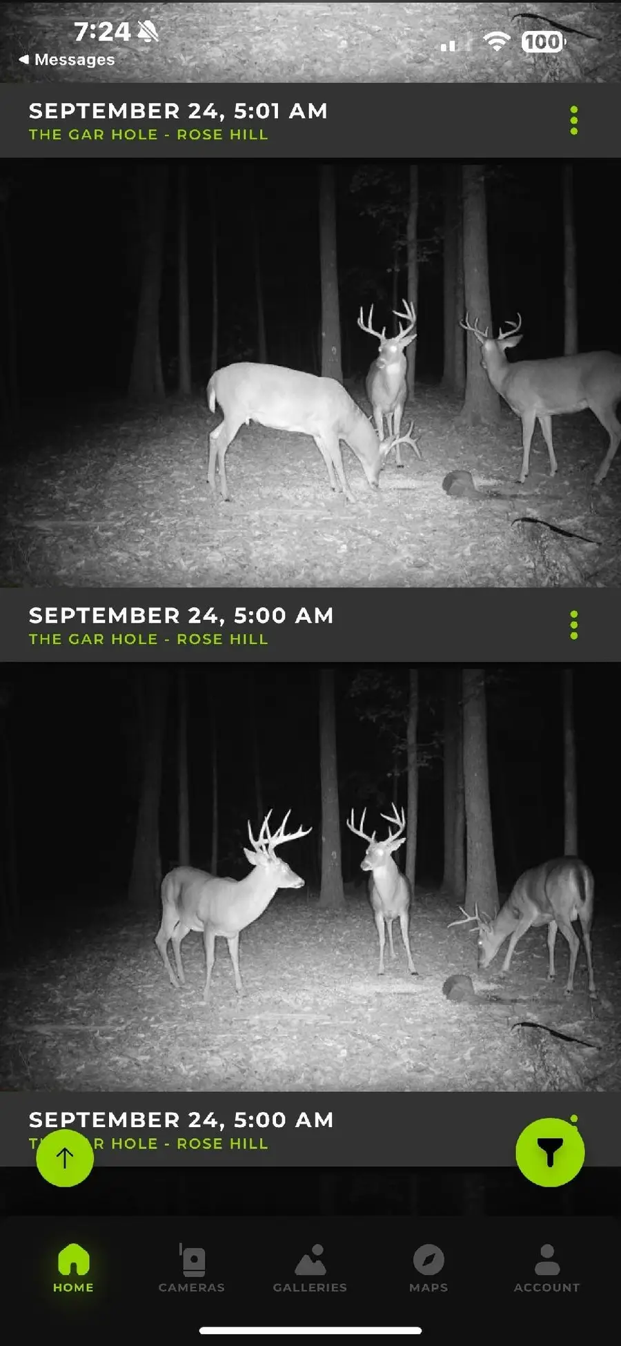 1075 Rose Hill Rd, Pulaski, TN 38478 - Image #3